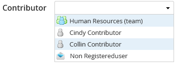 Names of contributors from the chosen team