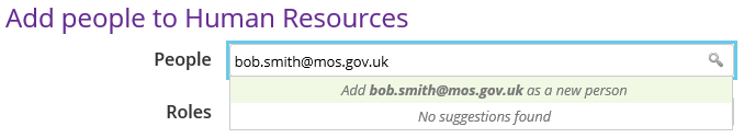 Type in the email address of the new user and then select the Add as a new person field
